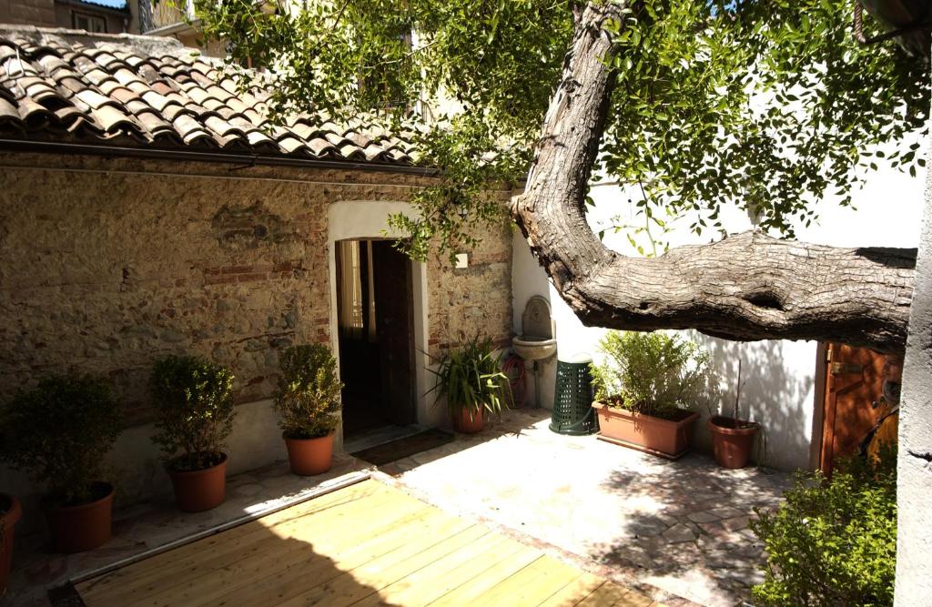 une maison avec un grand arbre en face dans l'établissement L'albero di Giuggiole, à Cosenza