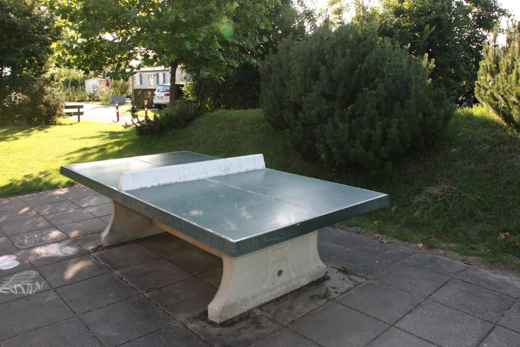 Stolní tenis v ubytování de Goede Ree Huisje 1 en 2 nebo okolí