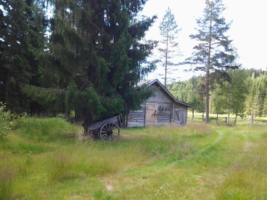 Příroda nedaleko chaty