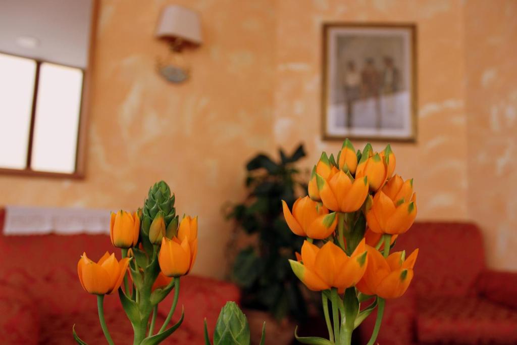Posezení v ubytování Hotel Beatrice