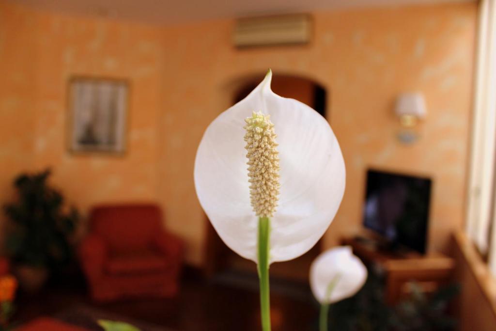 Hotel Beatrice - Resim 3