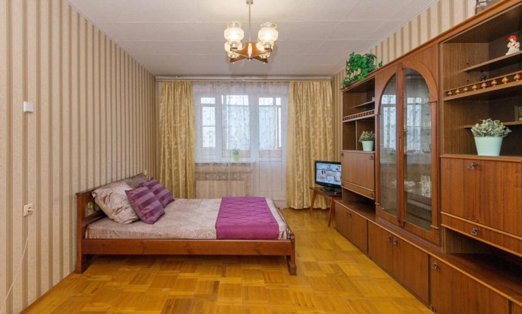 モスクワにあるApartment na Kozhukhovskoiのベッドルーム(ベッド1台、テレビ付)