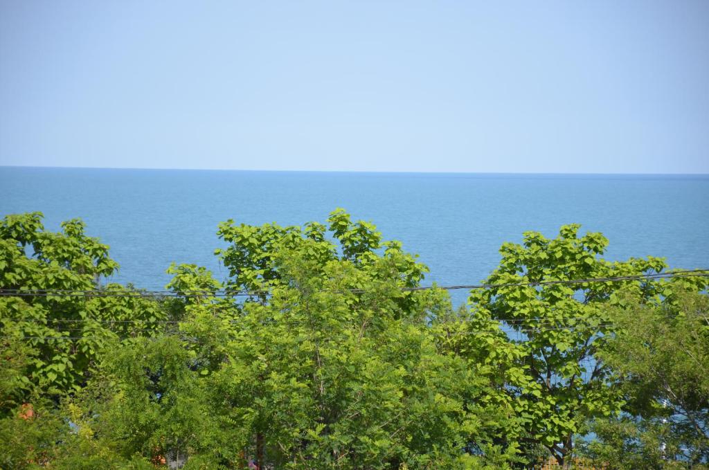 un grupo de árboles con el océano en el fondo en Razvan Holiday, en Costinesti