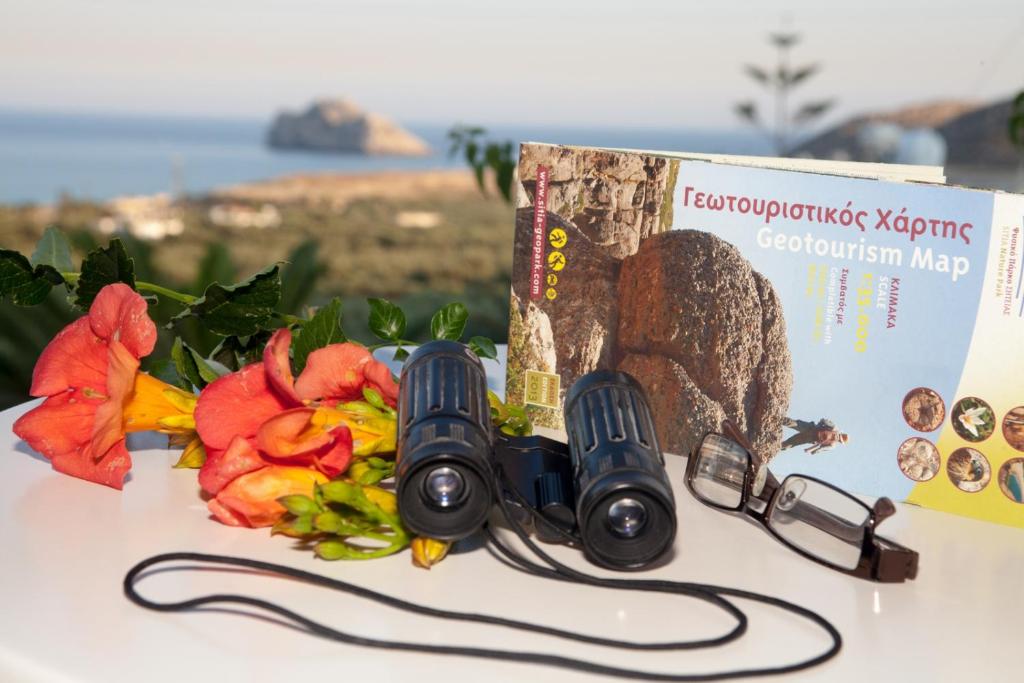 a pair of binoculars next to a book and flowers at Liviko View in Xerokampos