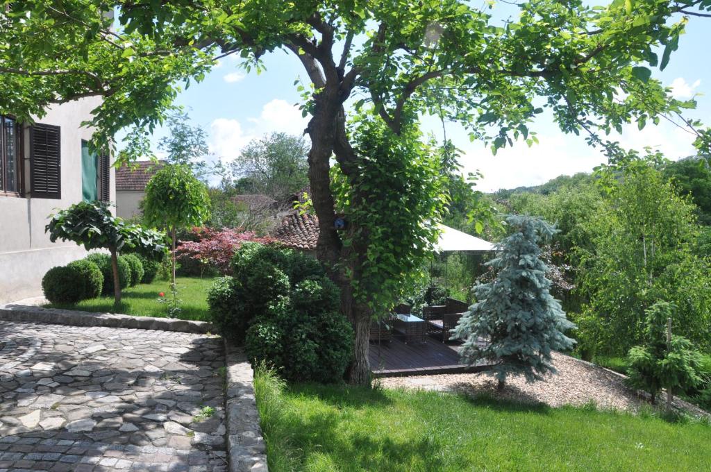 Fotografie z fotogalerie ubytování Guesthouse Djurić v destinaci Negotin