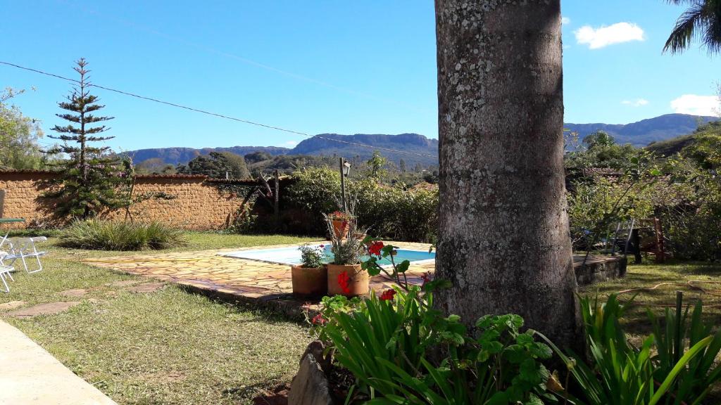 a yard with a tree and a swimming pool at Pousada Cantagalo Bichinho MG in Bichinho