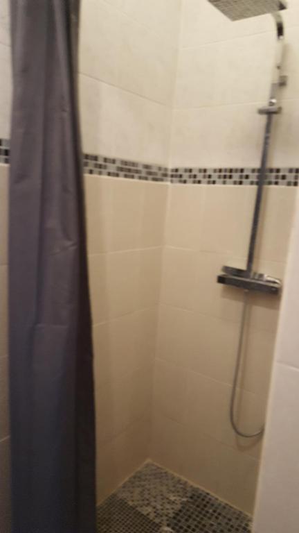 La salle de bains est pourvue d'une douche avec rideau de douche. dans l'établissement Chambres à PARIS, à Ivry-sur-Seine