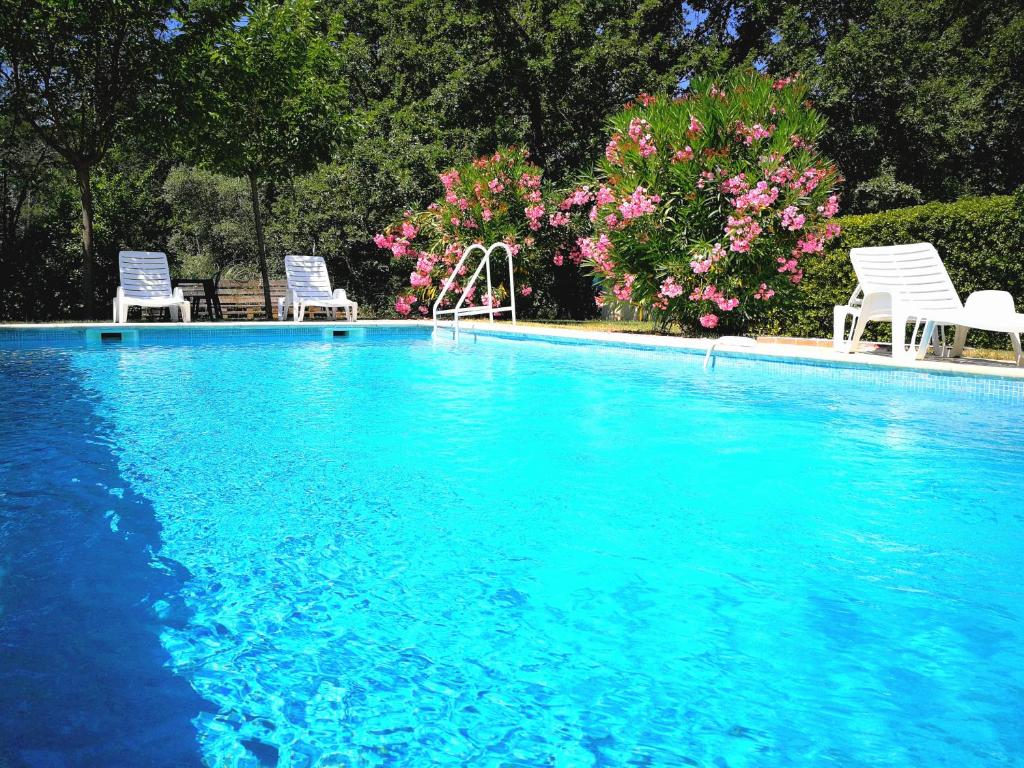 a blue swimming pool with two chairs and flowers at Au Bien Etre piscine in Villecroze