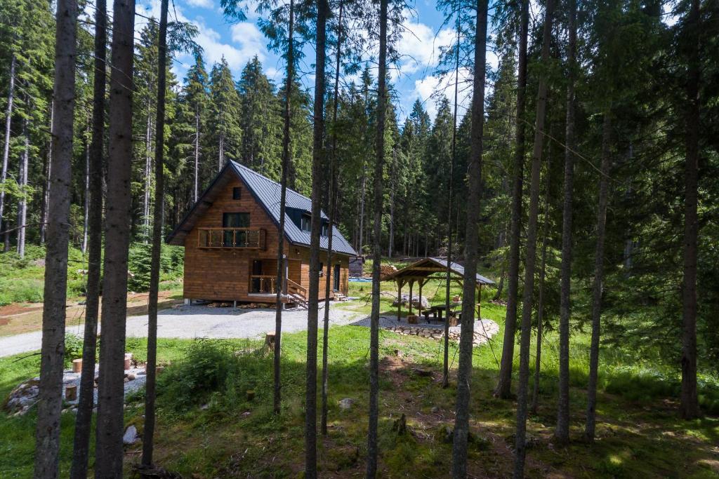 eine Blockhütte im Wald mit Bäumen in der Unterkunft Chata Kamenie in Demänovská Dolina