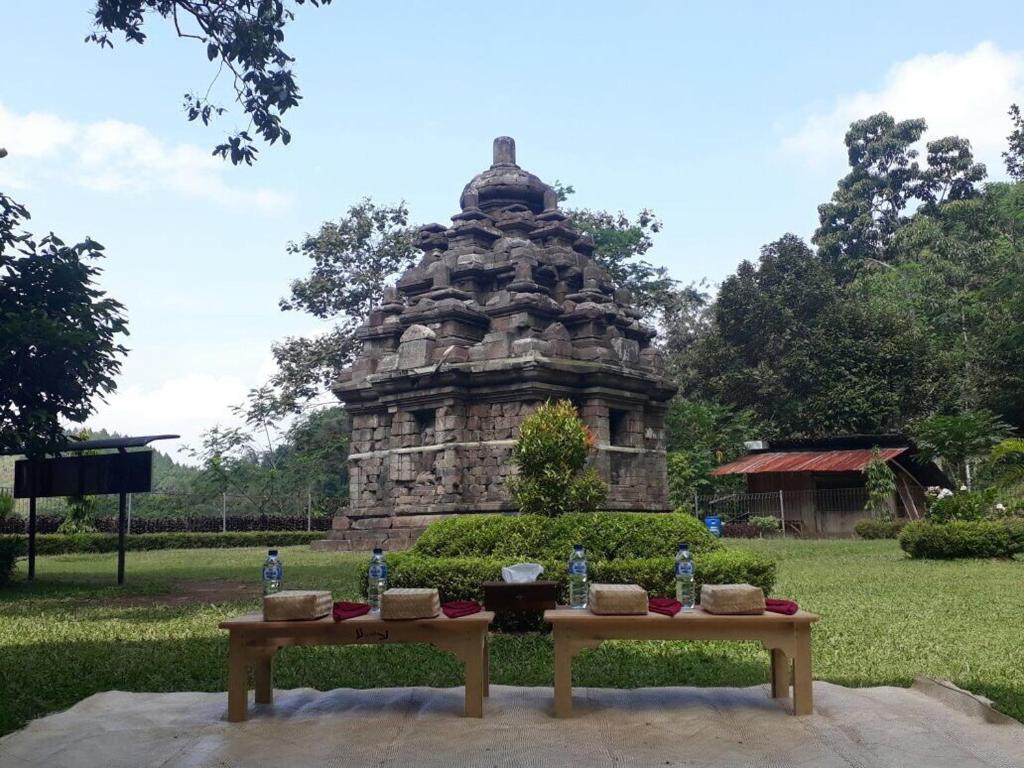 Zahrada ubytování Rumah Dharma