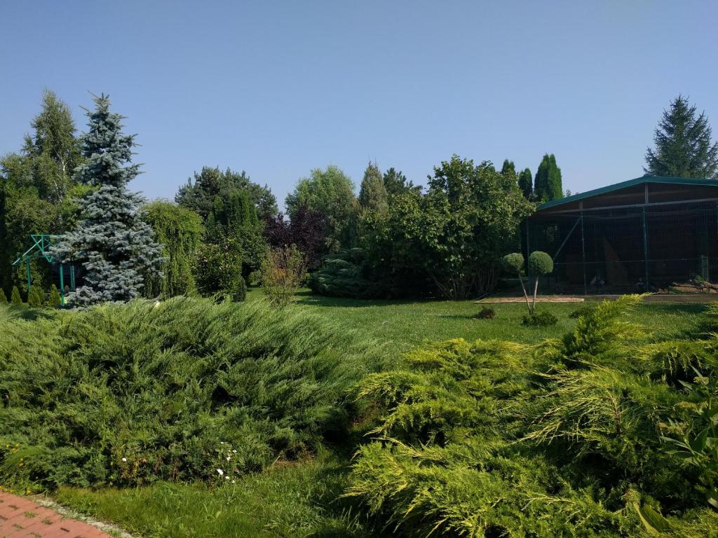 a garden with bushes and a building in the background at Pensiunea Catering Bio Concept SRL in Mărăcineni