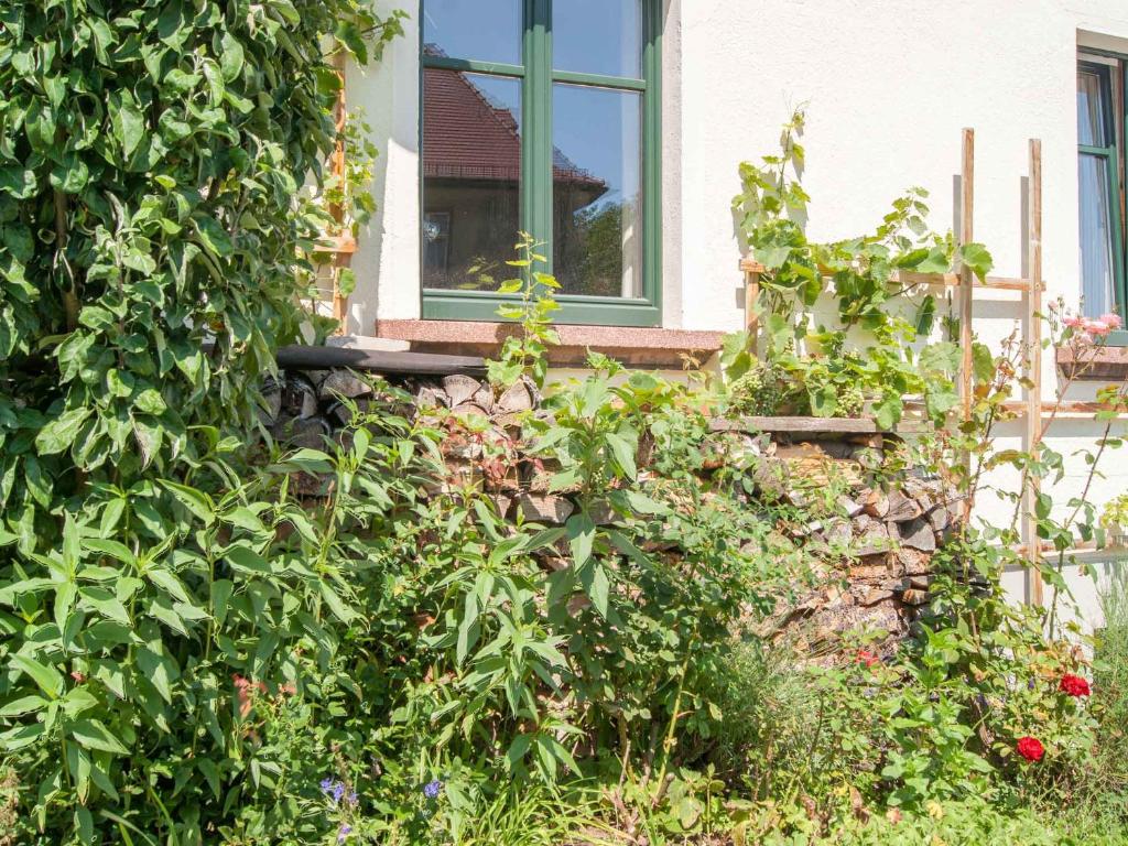 Zahrada ubytování Gastezimmer Richter