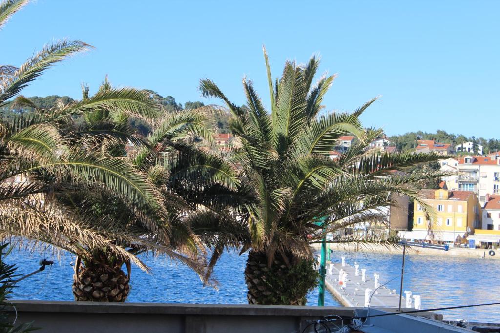 a group of palm trees next to a body of water at Season4All Apartments in Mali Lošinj