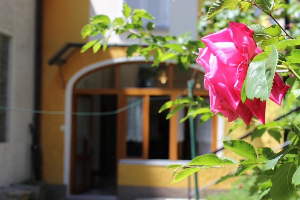 Rose Apartment by Quokka 360 - refined two-bedroom apartment with garden - Resim 36