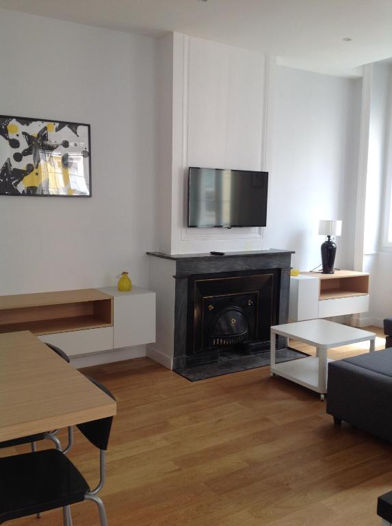 uma sala de estar com lareira e televisão de ecrã plano em Charme et Modernité au Cœur de Lyon em Lyon