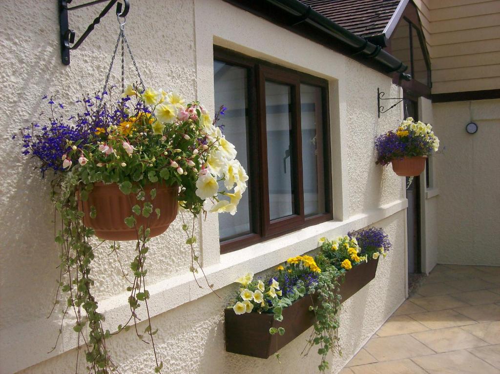 a bunch of flowers in pots on the side of a building at Fairholme in Dartmouth