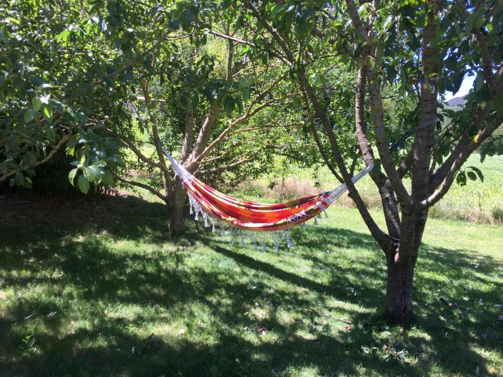 a hammock hanging from a tree in a yard at Le Chat Blanc in Versols-et-Lapeyre