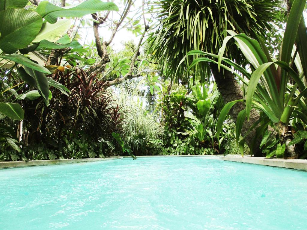 una piscina en medio de una selva en Refillnow! Hostel, en Bangkok