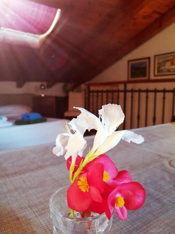 a glass vase with red and white flowers in it at La Calletta in Rovinj