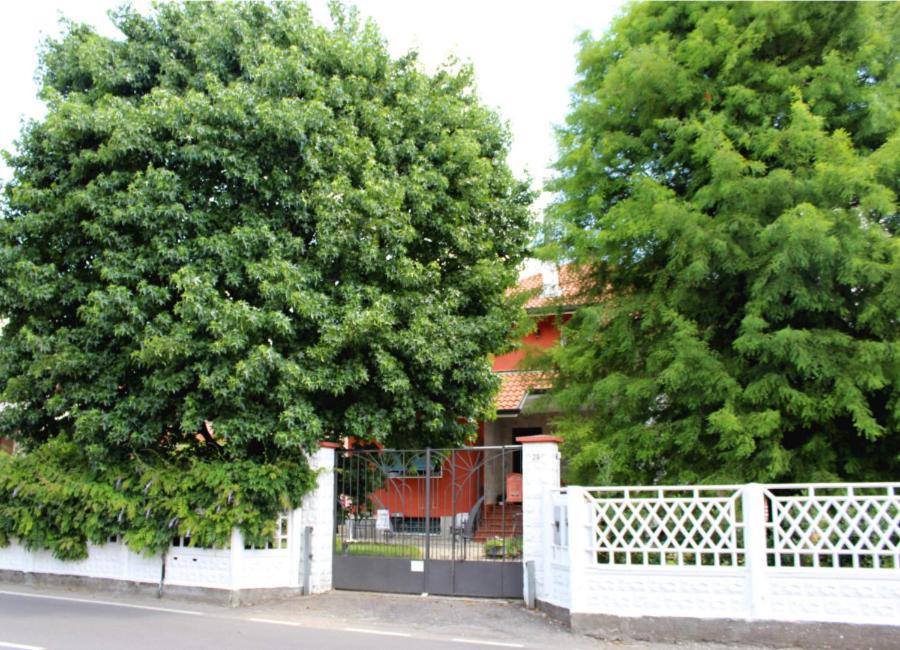 Zahrada ubytování B&B Via Roma