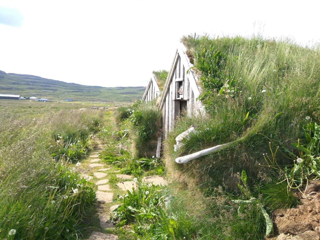 Paisatge natural a prop de l'hotel