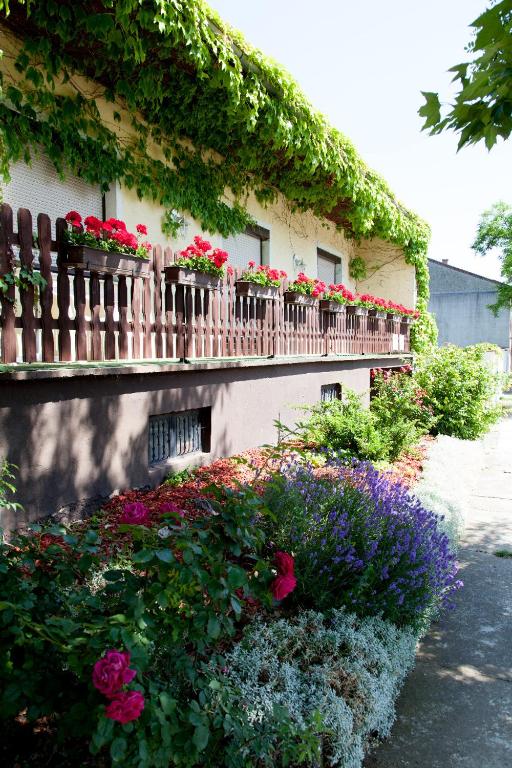 Zahrada ubytování Haus Akazie