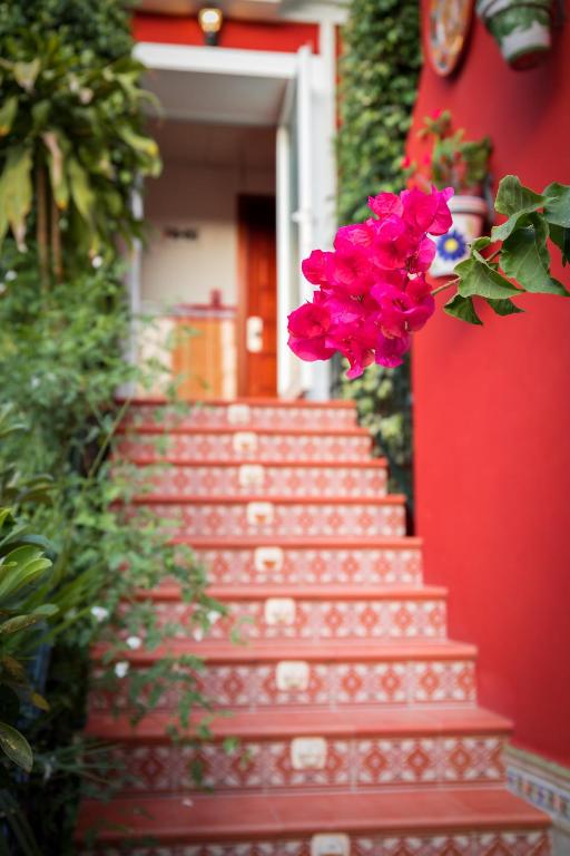 Hotel Romerito - Resim 17