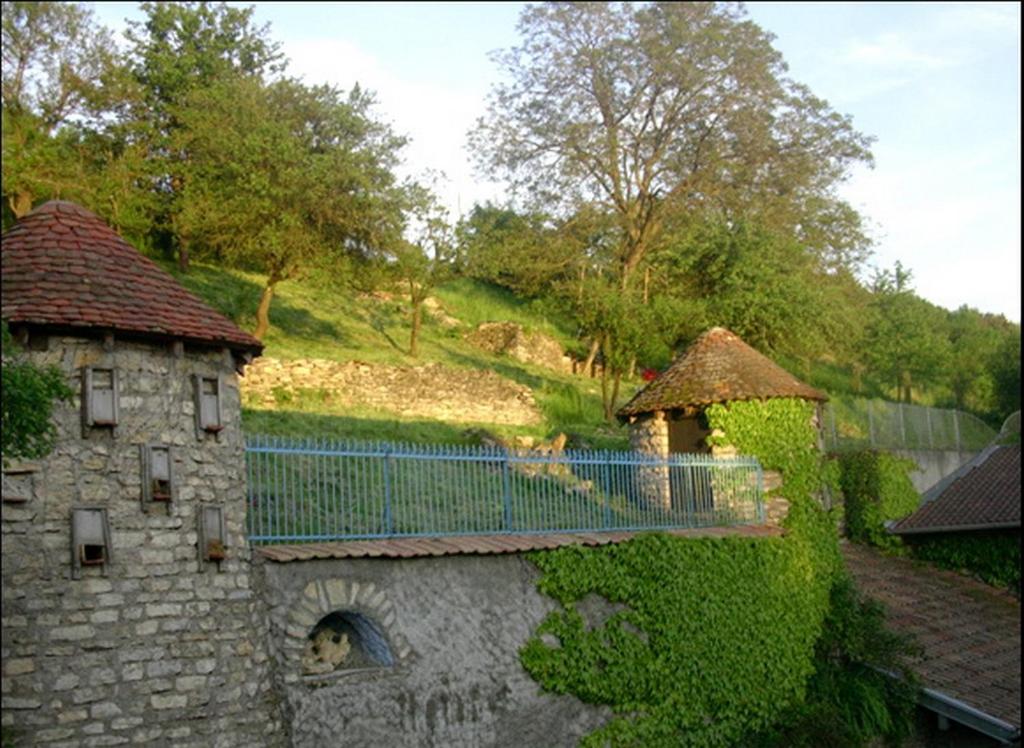 Příroda nedaleko bed and breakfast