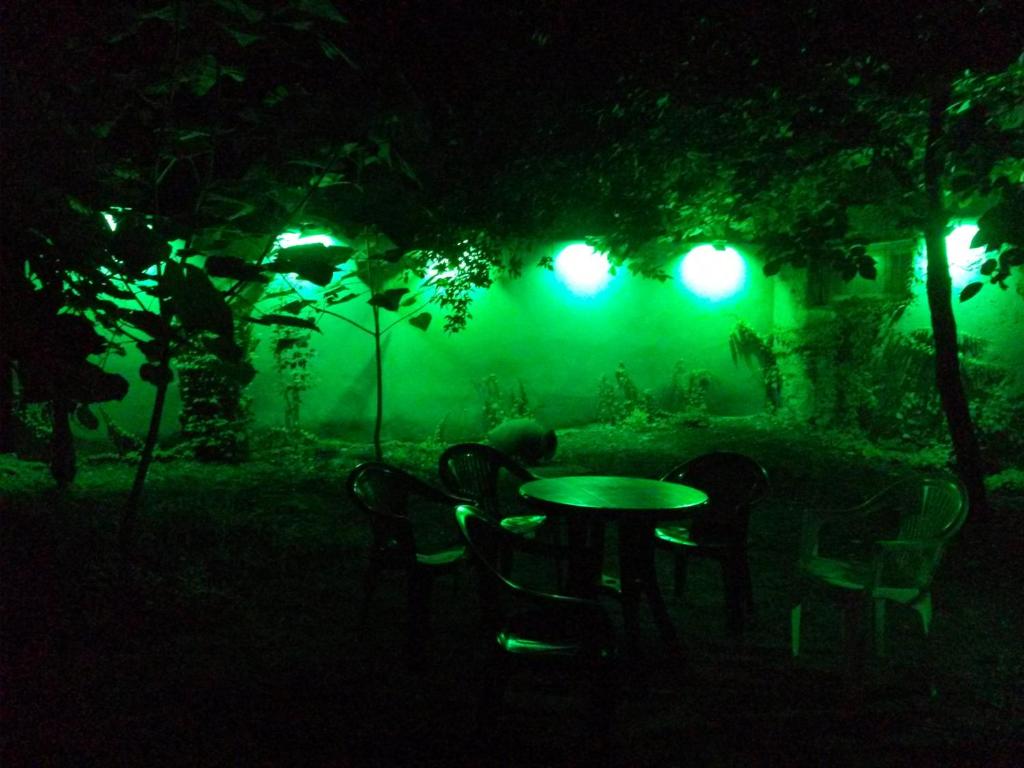 Zahrada ubytování Dima's Guesthouse