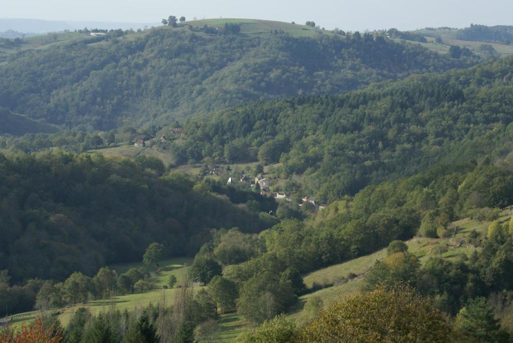Příroda nedaleko bed and breakfast