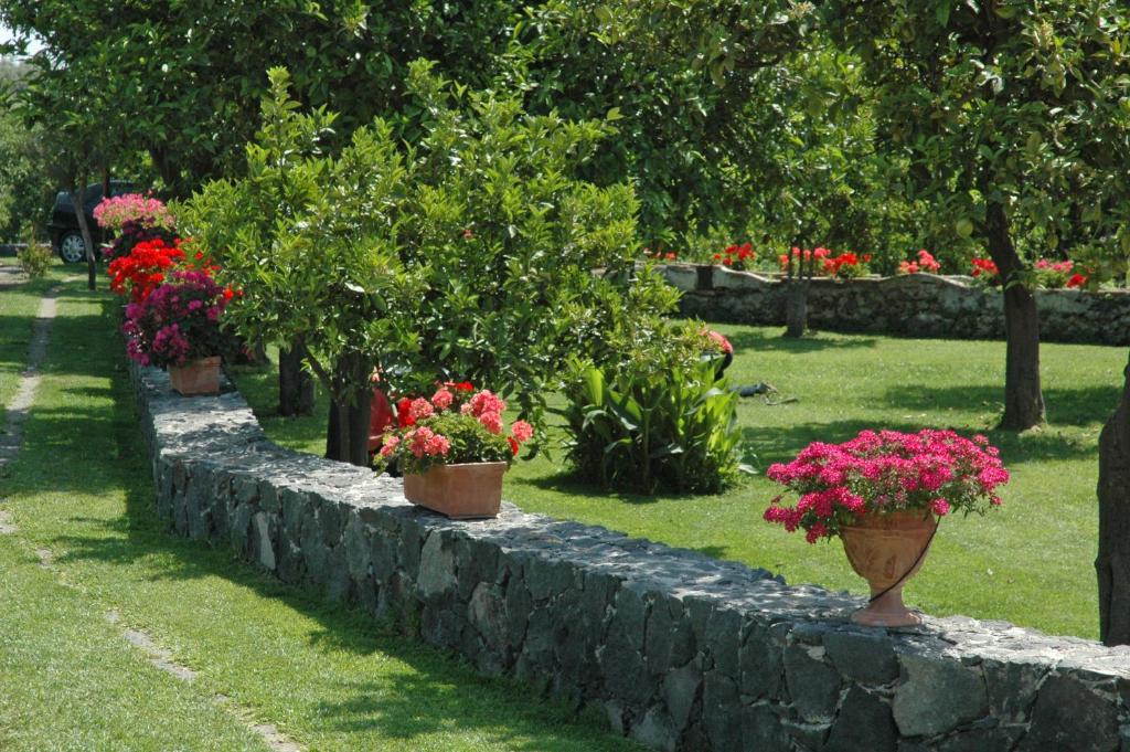 Ogród w obiekcie Feudogrande Bio Relais Hotel