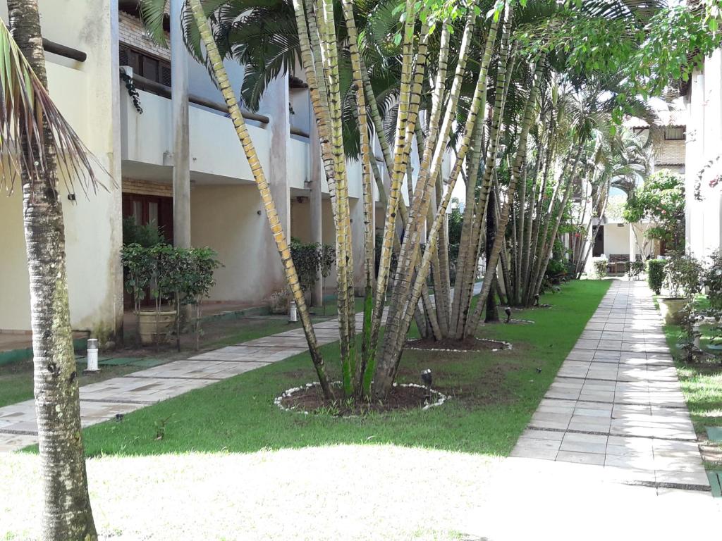  Pipa Flat Solar