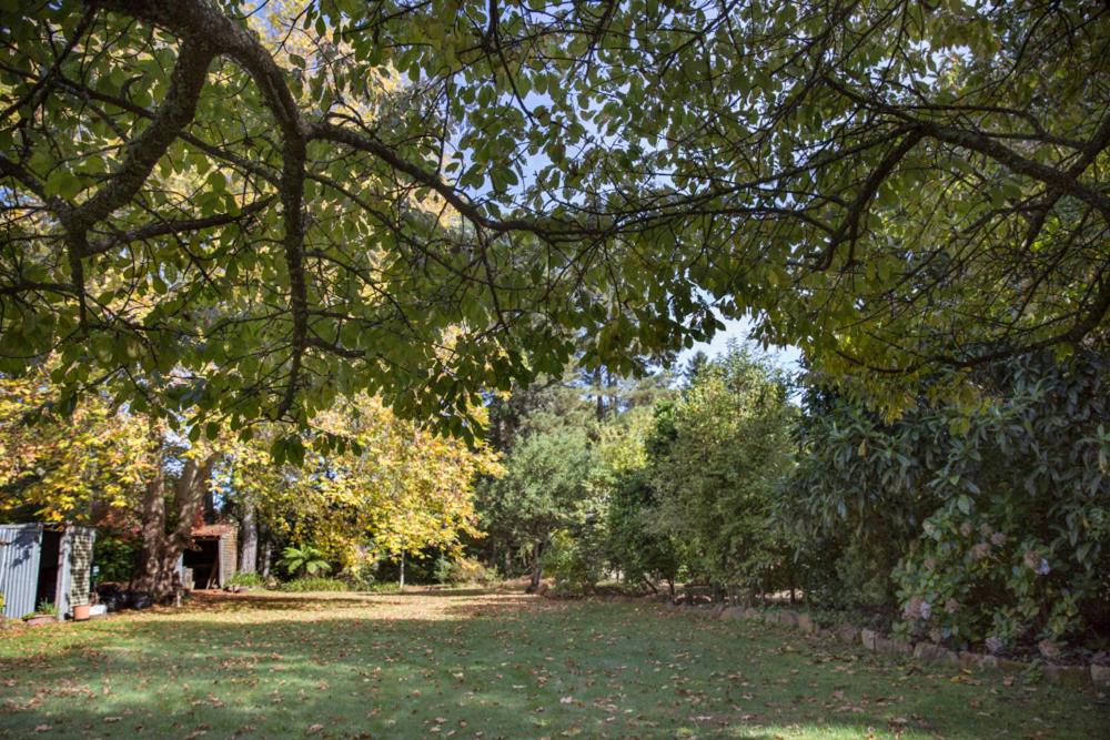 vista su un parco con alberi e erba di Secrets Hideaway a Blackheath