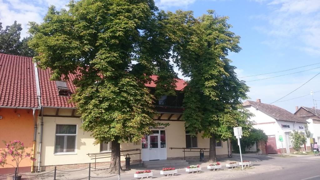 uma grande árvore em frente a um edifício em Bordany Hostel em Bordány