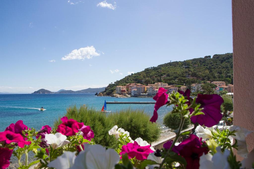 a view of a body of water with flowers at Hotel Marinella in Marciana Marina