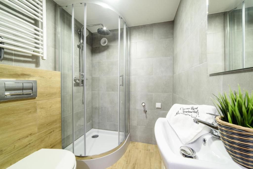 2 Nights Apartments - great location, right next to Main Rail and Bus Station, 10 min to Main Square by foot - Resim 40