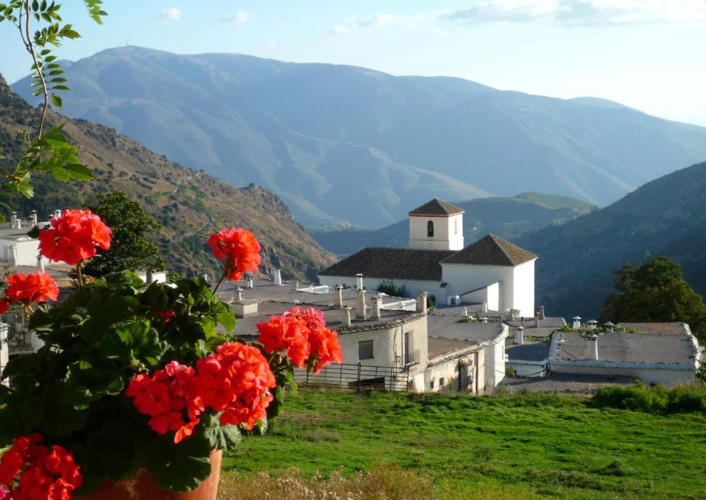 a vase with red flowers on a hill with a church at Casita Buena Vista in Bubión