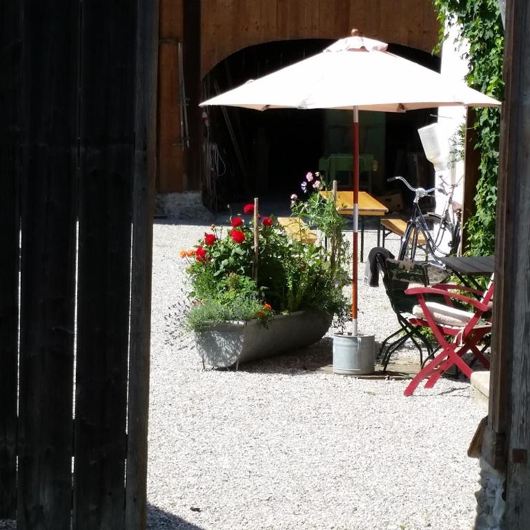Fotografie z fotogalerie ubytování Bauernhof Kaspergut v destinaci Kirchberg bei Mattighofen
