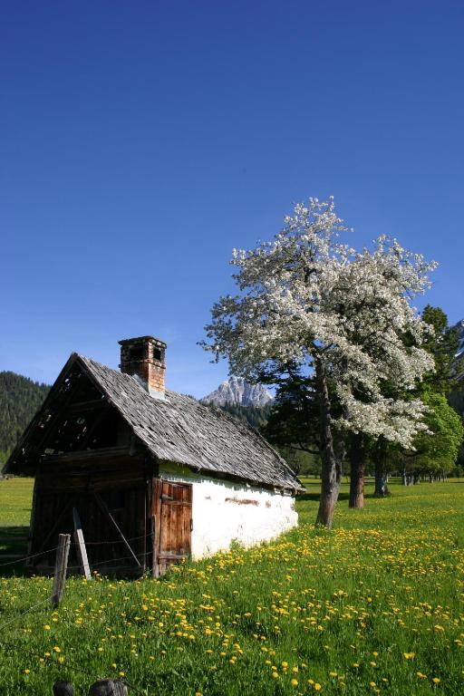 Příroda nedaleko penzionu