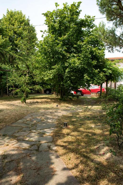 Příroda nedaleko venkovského domu