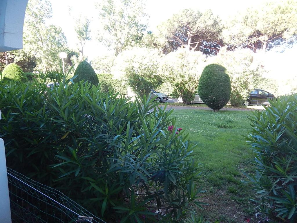 un jardin avec des buissons et des arbres et une voiture garée dans l'établissement T3 Les Peupliers proche Pasino et mer, à La Grande Motte