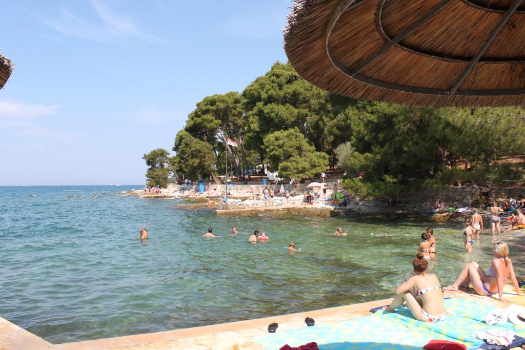 Naturlandskabet i nærheden af lejligheden