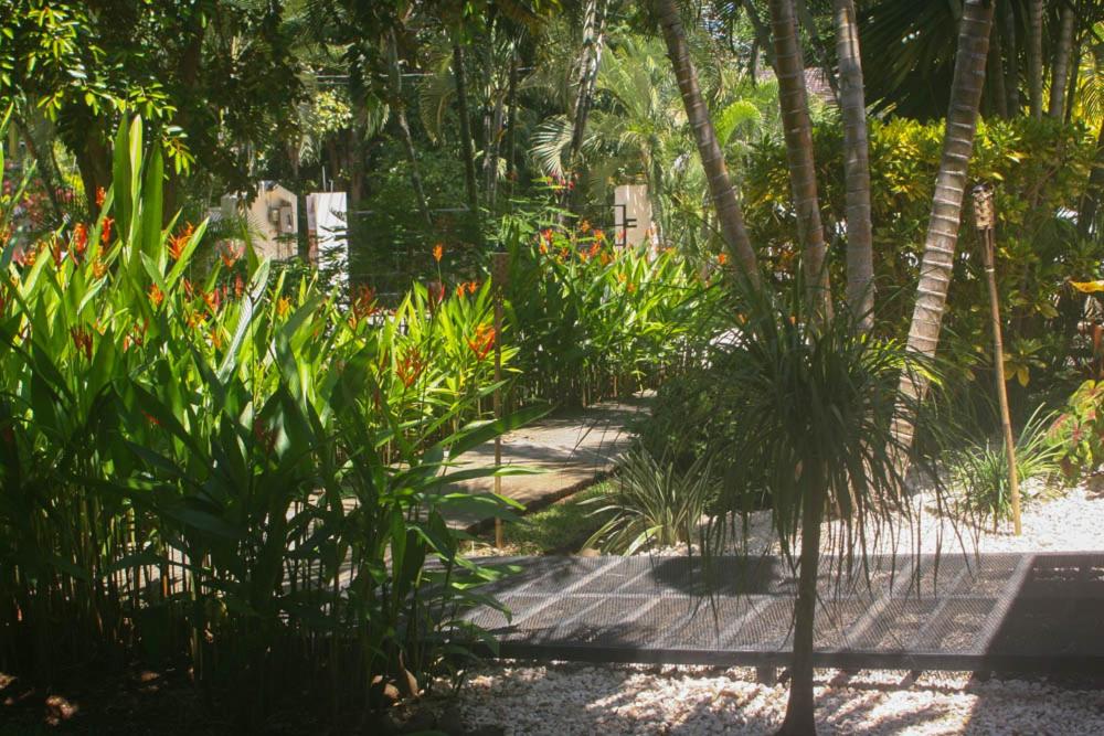 a garden with a bunch of plants and palm trees at Vista Hermosa Bed and Breakfast in Tambor