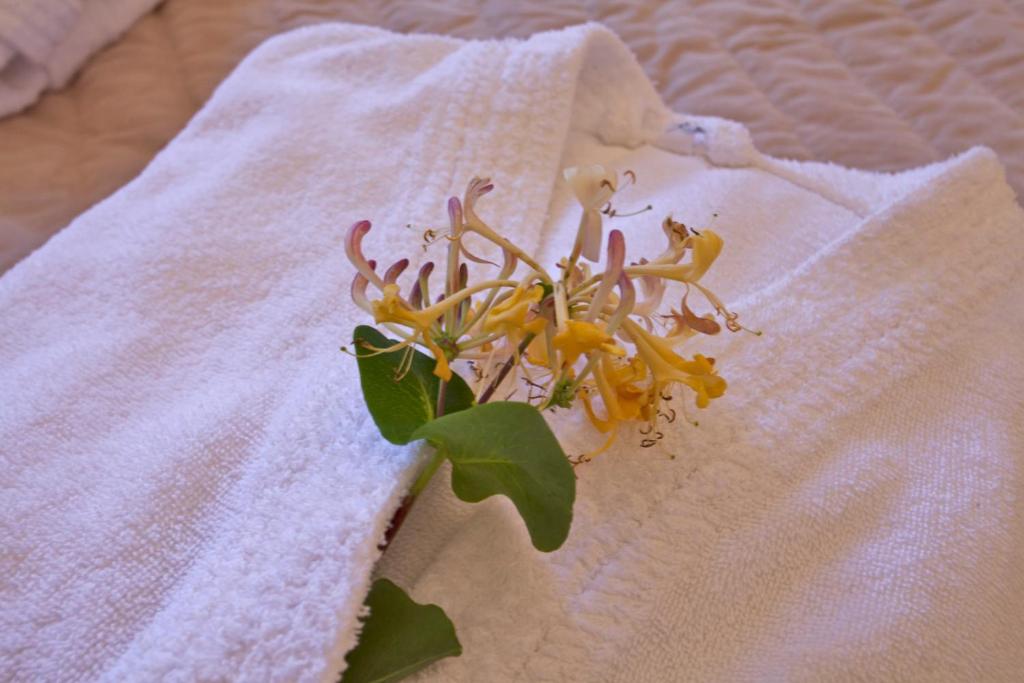 Fotografie z fotogalerie ubytování Mare E Monti - Hôtel de Charme v destinaci Feliceto
