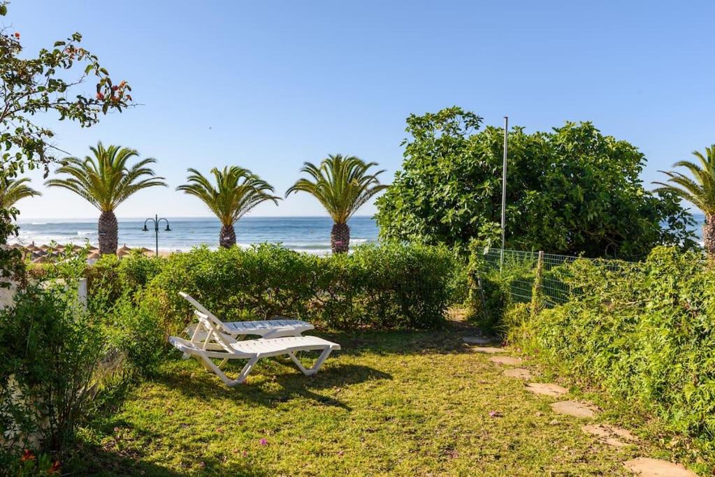 a white bench sitting on the grass near the beach at Casa Sol e Praia in Luz