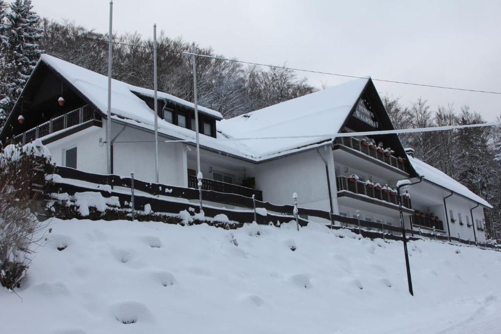 a building covered in snow with snow at Pension Walddorf in Winterberg