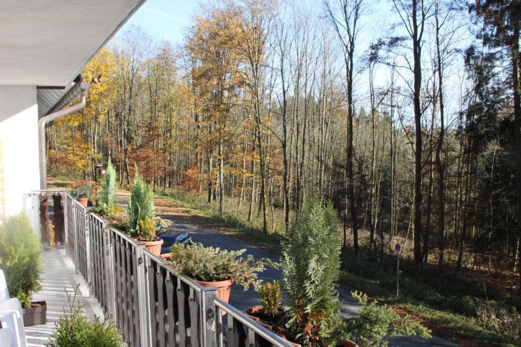 een balkon met potplanten en bomen bij Pension Walddorf in Winterberg