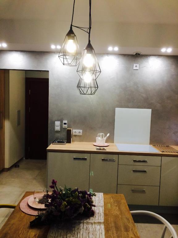 Kuchyňa alebo kuchynka v ubytovaní Piper Cytadela Apartament