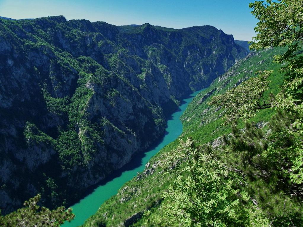 a river in the middle of a mountain range at Viola i Detelina Apartments in Perućac