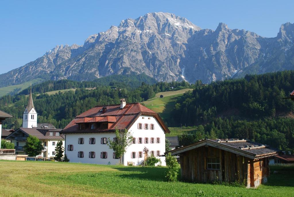 a group of buildings in a field with a mountain at Ansitz Wirtsgut - Familienappartements in den Bergen in Leogang